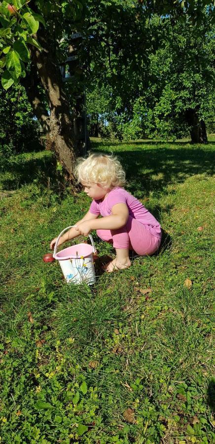 Pokoje Goscinne Pod Jabloniami Ujście-Darłowskie Eksteriør billede