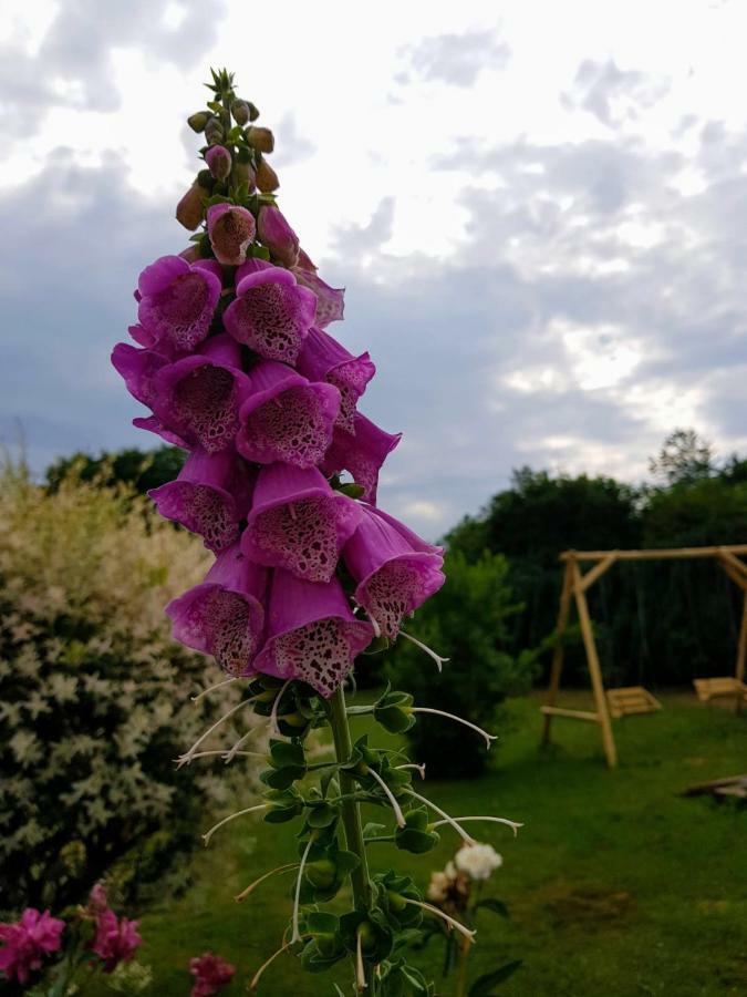 Pokoje Goscinne Pod Jabloniami Ujście-Darłowskie Eksteriør billede