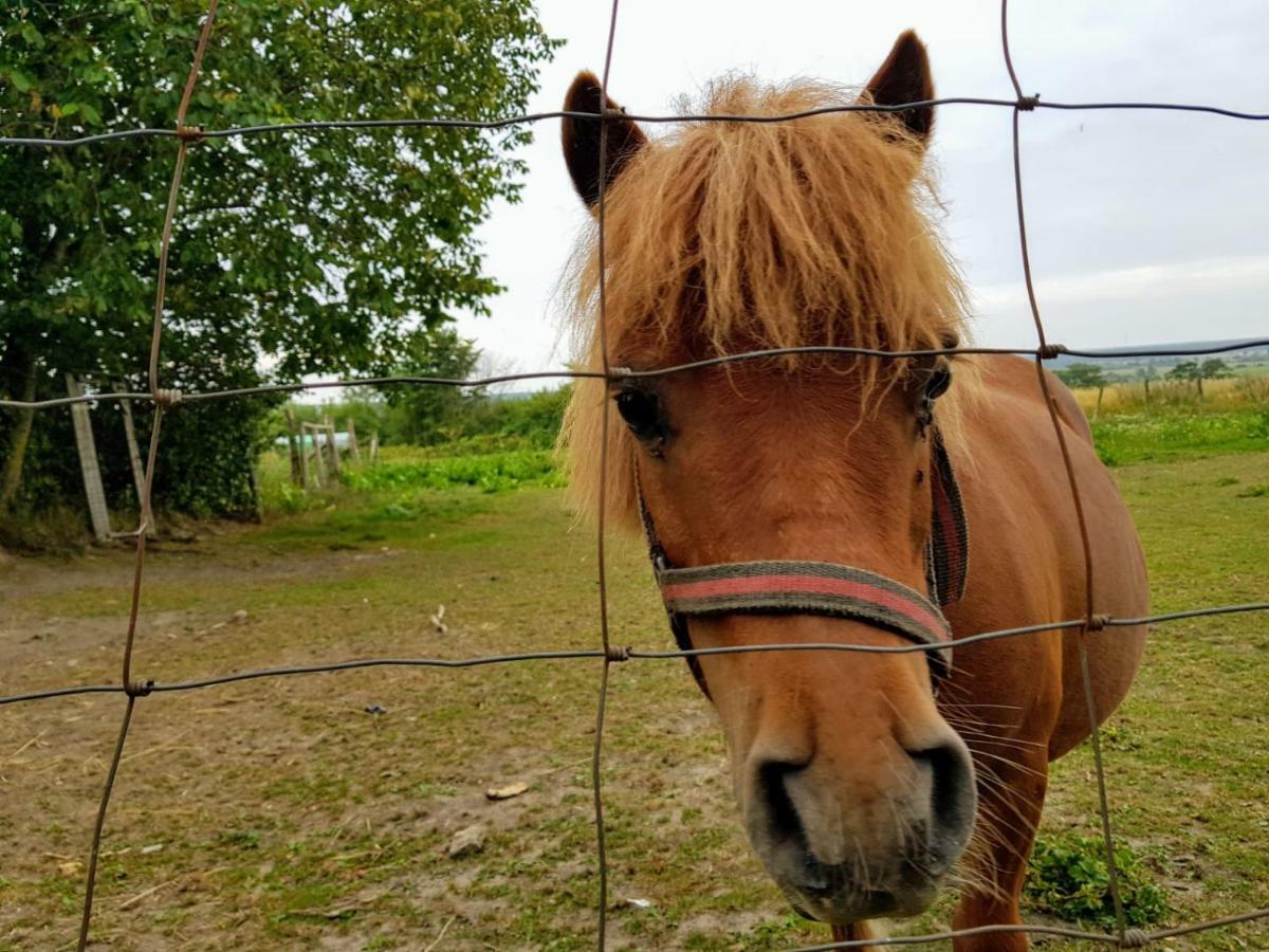 Pokoje Goscinne Pod Jabloniami Ujście-Darłowskie Eksteriør billede